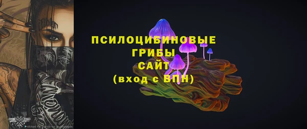 мдма Грязовец